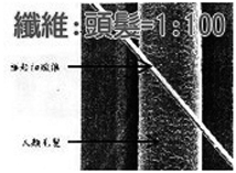 不織布面膜