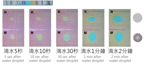 云芯絲布膜測試