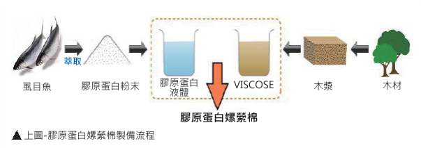 膠原蛋白嫘縈棉纖維布膜製造流程